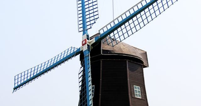 Petite ferme : comment choisir le bon moulin à céréales pour vos volailles